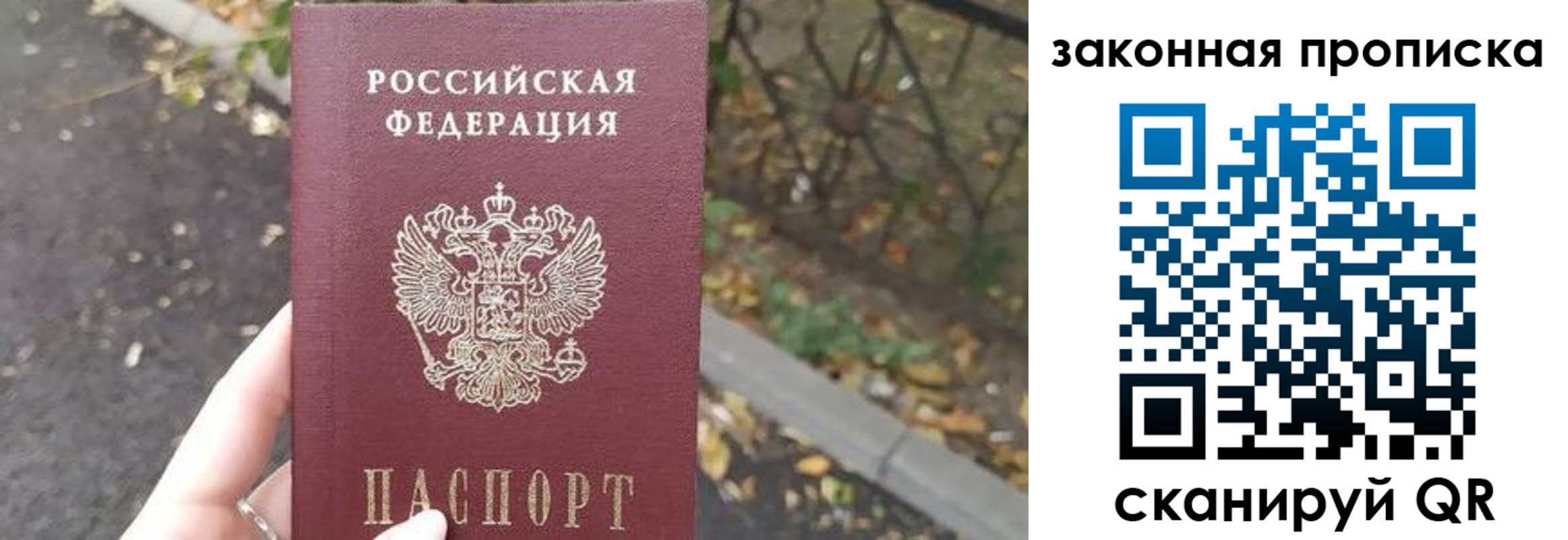 прописка от собственника в Саратове